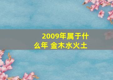 2009年属于什么年 金木水火土